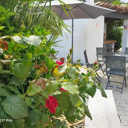 Bed and Breakfast Lavocette Maison Le Grau-dʼAgde